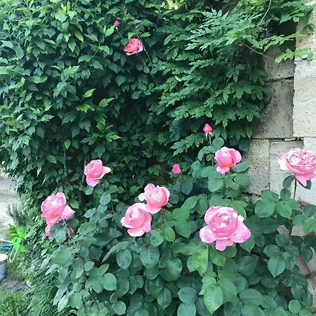 Apartman 33 M2 - Avec Kitchenette , Espace Salon, Tv, 2 Personnes Piscine Wifi Clim Pres Saint Emilion Et Du Perigord *